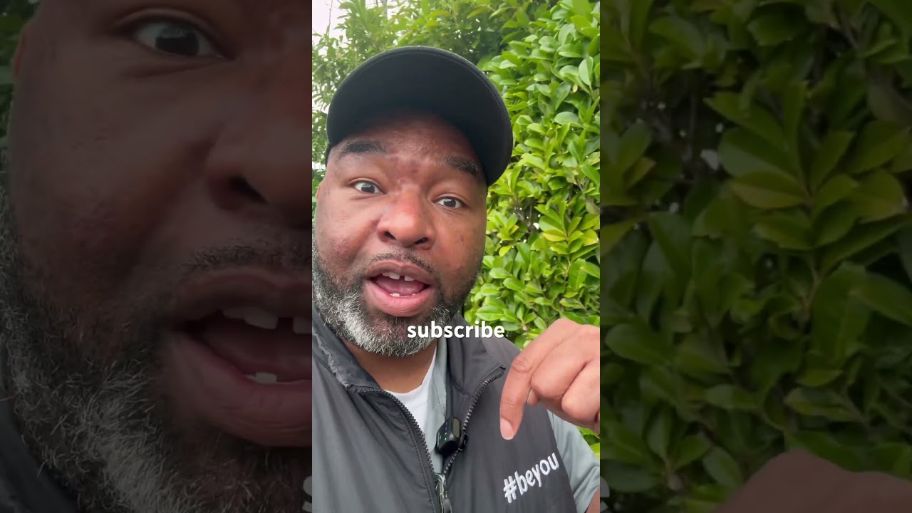 Subscribe and Like (it’s yo boi) 