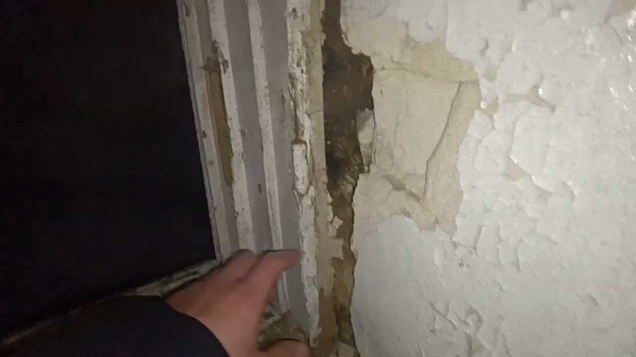 СТАЛК С МИРИКОМ НА ЗАБРОШЕННЫЙ ГАРАЖНЫЙ КОРПОРАТИВ В СТАРОЙ БОЯРКЕ. СОВЕТУЮ ПОСМОТРЕТЬ ВИДЕО...