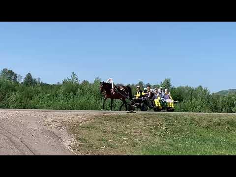 ДТП Благоварский район 2021