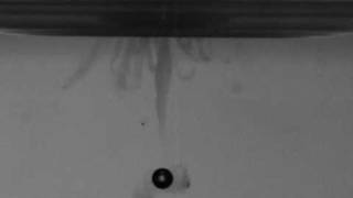Information Bubble entrapment (Below surface) Update