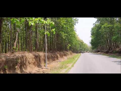 Countryside Road Trip: Scenic Beauty: Beautiful Road in Goalpara  ASSAM::India