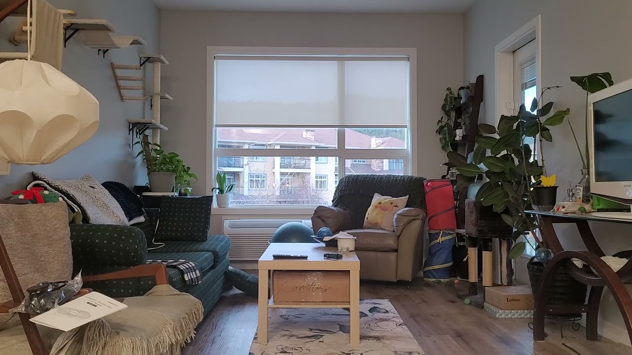 NASDA LIO-I Type 1 Fabric (Encore)