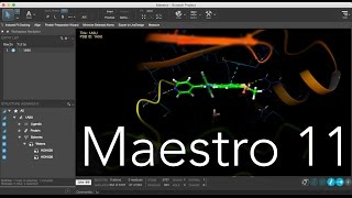 Maestro 11