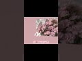 يا ورده يا ورده اكسبلور ايقنت لايك اهميه ترند ورك  كيدراما شلتنا تصميمي
