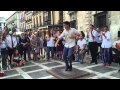 Flamenco Man Dance 2