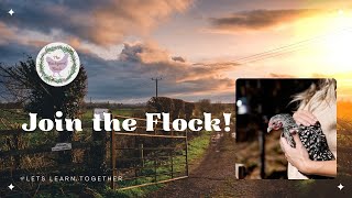 Welcome To The Backyard Flock Your Poultry Paradise Awaits