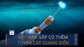 Việt Nam sắp có tuyến cáp quang mới, băng thông siêu khủng | VTC1