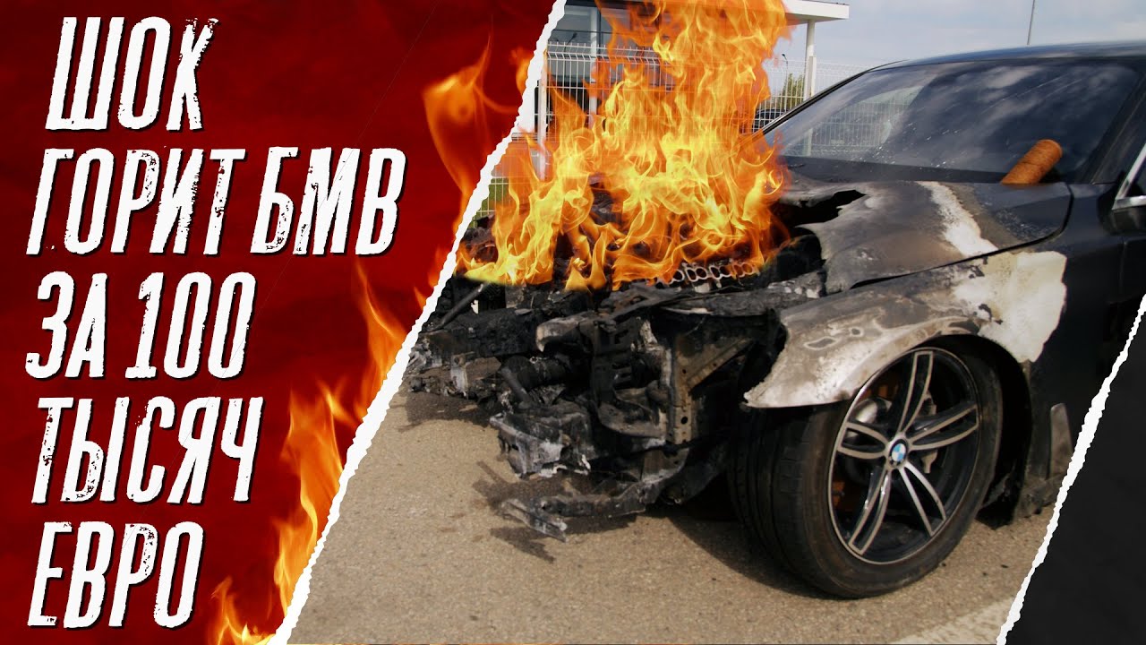 Почемучек всегда горит на bmw