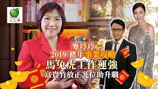 麥玲玲2019豬年事業攻略馬兔虎工作運強富貴竹放正北位助升職