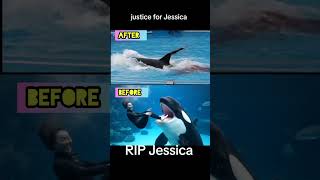 Download Lagu Jessica Vs Dolphin 🐬 viral video tranding #viralvideo #shortvideo #scary MP3 Download Lagu Jessica Vs Dolphin 🐬 viral video tranding #viralvideo #shortvideo #scary MP3