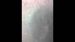 IMG 2696