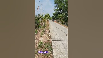 chủ cần bán nhanh 3 mẫu 5 đất thuộc huyện Mộc Hóa tỉnh Long An lh 0816556639