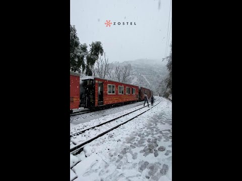 Videó: Az Aravali Retreat-Sariska Nemzeti Park