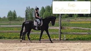 Кир. Собранный шаг