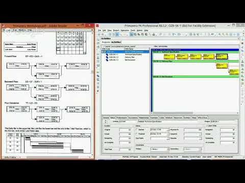 Primavera P6 Training 8 Scheduling Calculations & Activity Network View ...