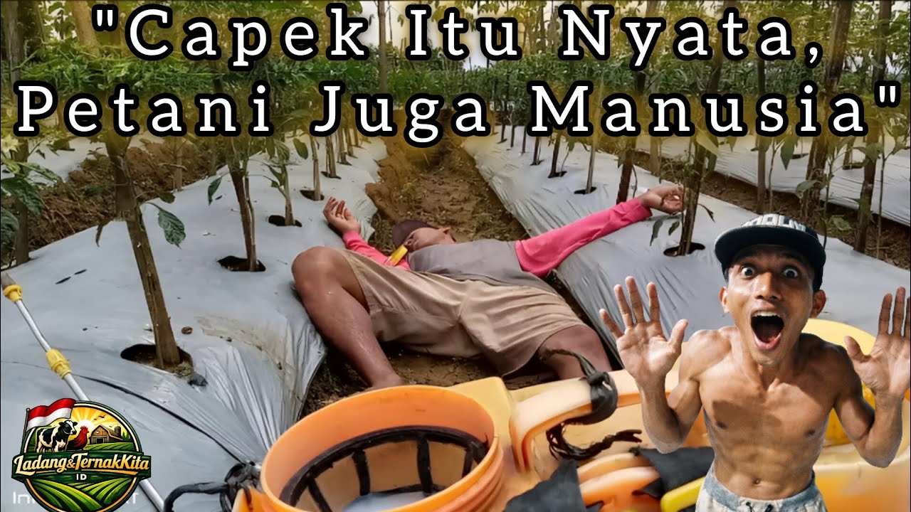 “Di Ladang Ini, Aku Pernah Capek, Cerita Sunyi Seorang Petani”  