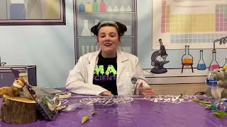 Celebrity Biodegradables part 1 Wealth