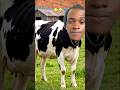 I’m here too🤣🤣 #comedyshorts #williamlast_krm #funnyanimals ##memes #goviral #moresubscribers