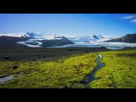 النقشبندي يا من له ستر عليا جميل