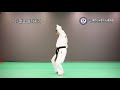 (사)대한민국합기도총협회 2단승단심사(지정술기)(HAPKIDO)