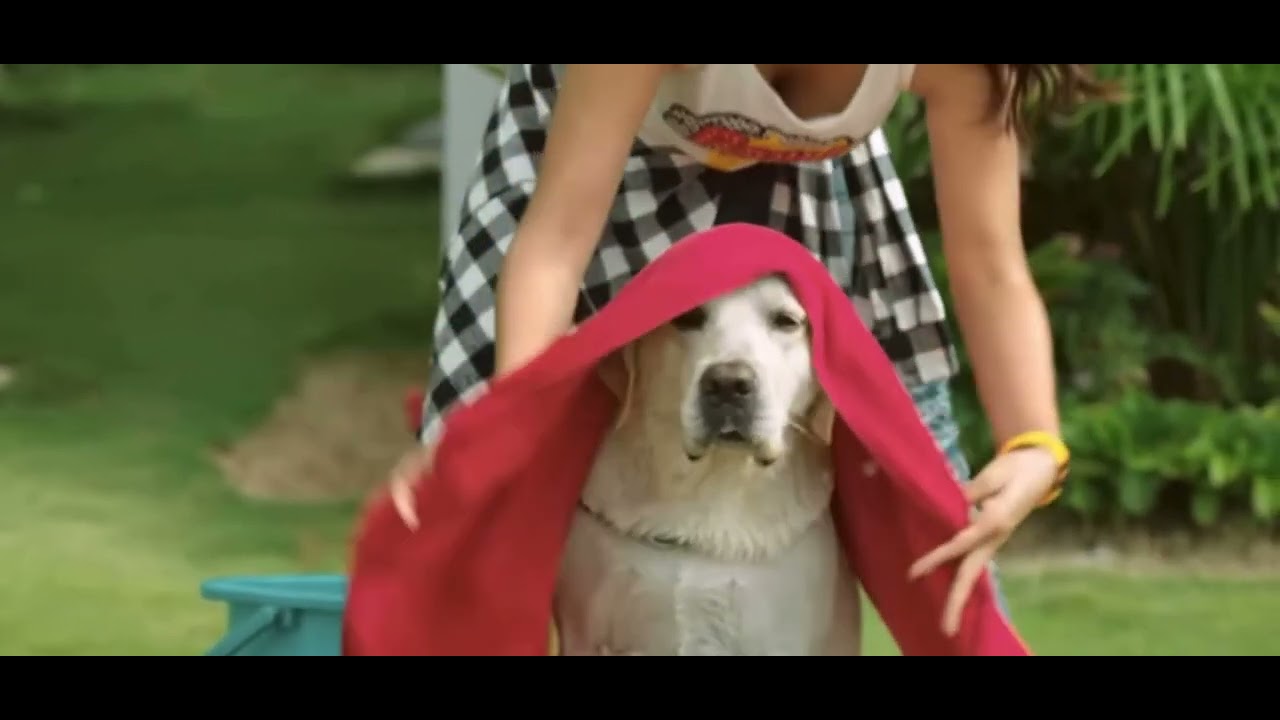 Sree Leela 🥵 hot video slow motion