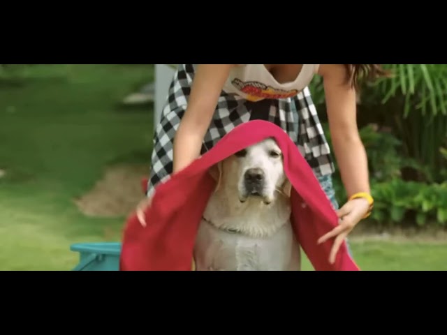 Sree Leela 🥵 hot video slow motion