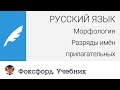 Русский язык. Морфология: Разряды имён прилагательных. Центр онлайн-обучения «Фоксфорд»