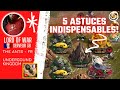 The ants fr  5 astuces indispensables free to play