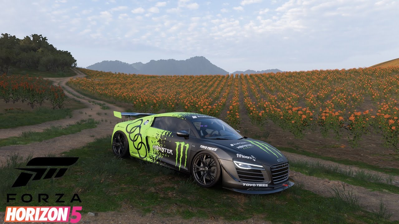 Audi R8 Coupe V10 Plus | Forza Horizon 5