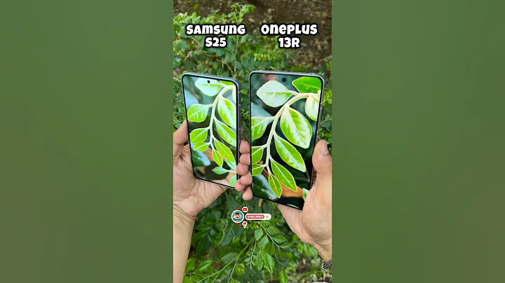 Samsung S25 Vs Oneplus 13R Camera Comparison #shorts