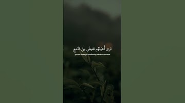 #majalis_al_tarteel #مجالس_الترتيل #quran #قرآن #سعود_الشريم #تلاوات #القرآن_الكريم #راحة_نفسية