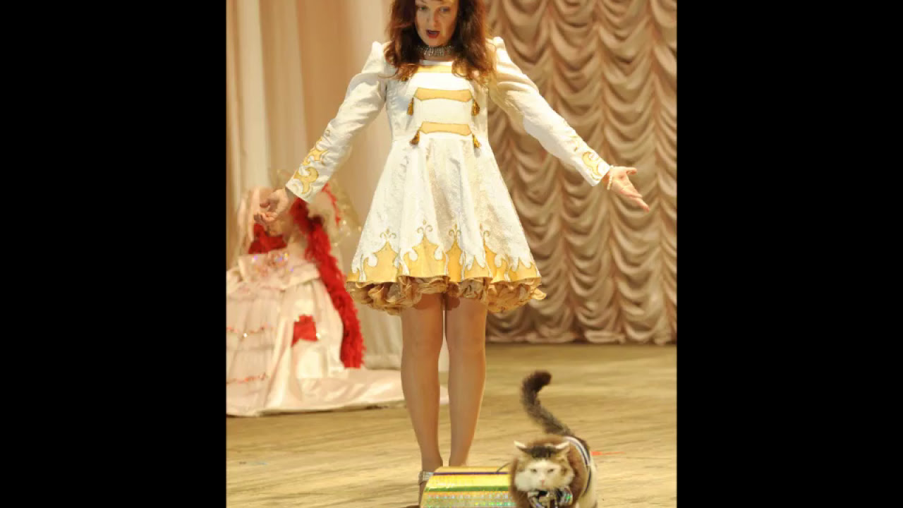 как пан американо.wmv - YouTube