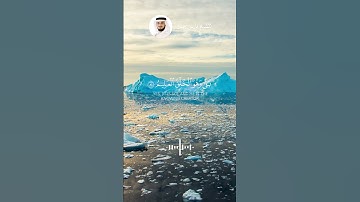الشيخ فارس عباد  #explore #quranexplorer #قران_راحة_نفسية #قرآن #لايك #سورة_يس #اكسبلور
