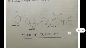 #IGNOUSOLVEDASSIGNMENTLSE01 LSE-01 solved assignment IGNOU (cell biology).