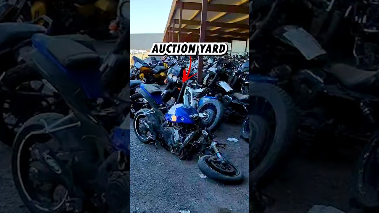 Madbrah Auction Adventure! @Gixxerbrah