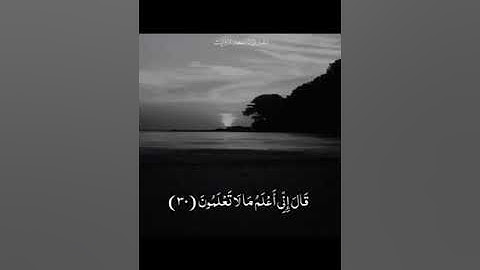 تلاوة رائعة بصوت القارئ سعد ازويت