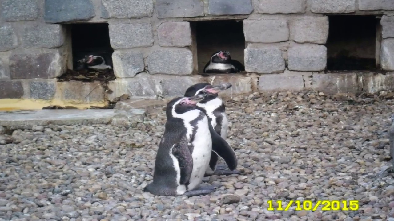 Ein Besuch im Luisenpark Mannheim
