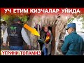 УЧ ЕТИМ КИЗЧАЛАР УЙИГА УГРИ ТУШИБТИ / ЕТИМ КИЗЧАЛАР ТУХУМСИЗ КОЛДИ(Охунов тв)