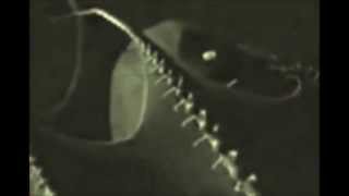 Watch Einsturzende Neubauten Neun Arme video