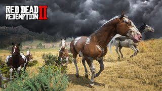 FUGINDO DO FURACÃO - Migração de  American Paint Horse - Red Dead Redemption 2