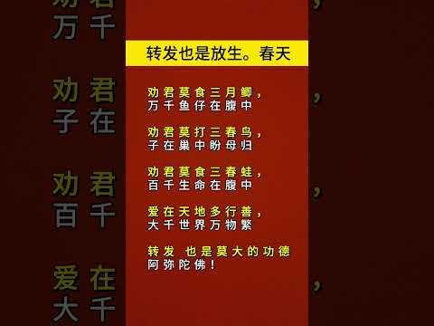 #国学智慧 #佛法智慧 #放生 #修心修行 #阿彌陀佛 #正能量 #行善
