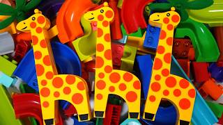 Satisfying Building Blocks MarbleRun Extremely popular! A giant giraffe-shaped triple block coaster!