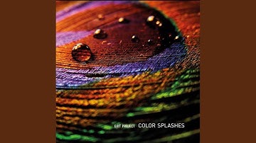 Color Splashes
