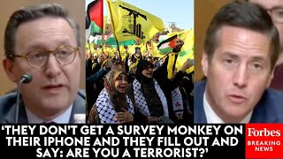 Moreno Asks Terrorism Expert: If You Were A Hezbollah Operative 'Would You Go To Sanctuary City?'