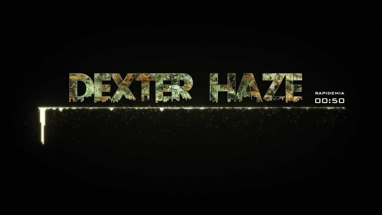 DEXTER HAZE / RAPIDEMIA