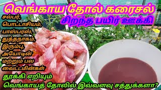 onion peel fertilizer for plants. the best grow booster. வெங்காய தோல் கரைசல் மிகச்சிறந்த பயிர் ஊக்கி