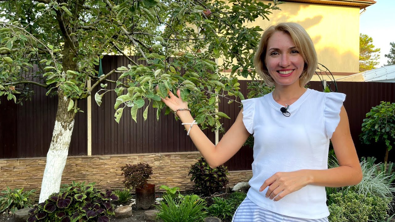 Сборный дом в Геленджике видео