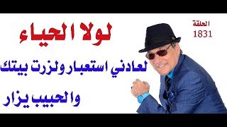 د.أسامة فوزي # 1831 - لولا الحياء لعادني استعبار ولزرت بيتك والحبيب يزار