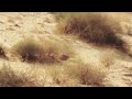 قصيدة جميلة ما ودي بفندق لو