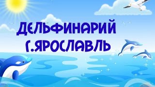 ДЕЛЬФИНАРИЙ❀г.Ярославль❀(В этом дельфинарии мы не первый раз, и в прошлом году были(дочке тогда было 1год и 6 месяцев),правда с билетам..., 2016-06-08T12:38:15.000Z)